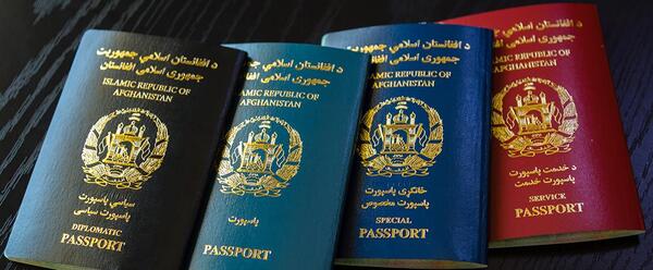 رنگ لباس برای عکس پاسپورت
