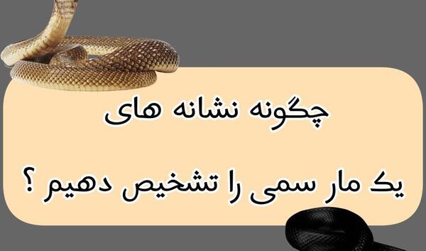 عکس بک مار