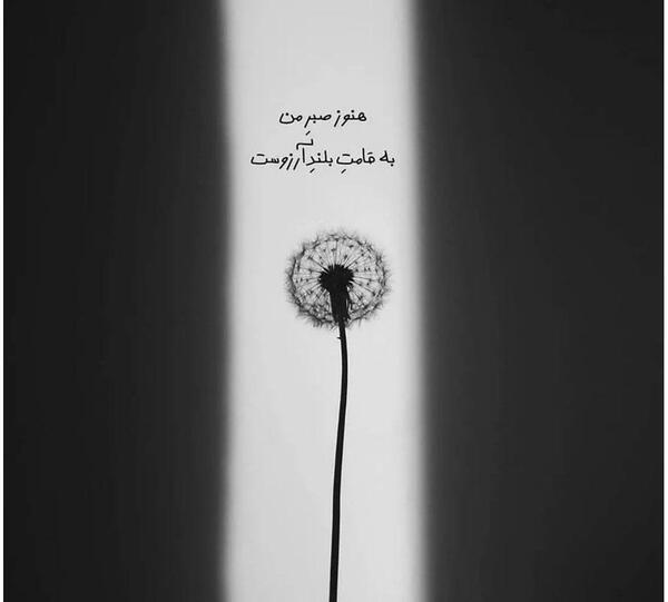عکس تنهایی نوشته
