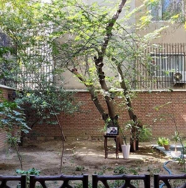 عکس ارغوان هوشنگ ابتهاج