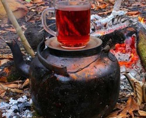 عکس چای در طبیعت برای پروفایل