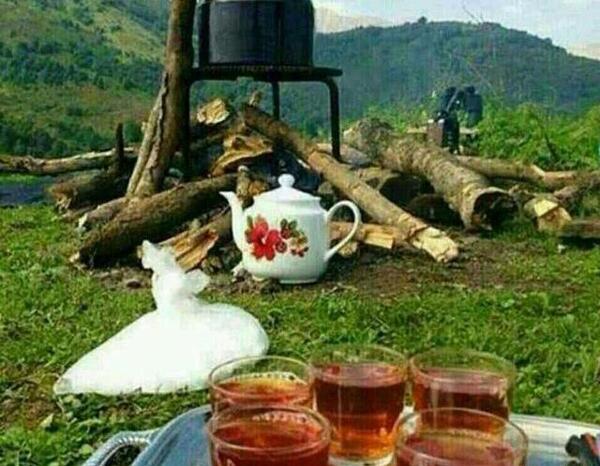 عکس چای در طبیعت برای پروفایل