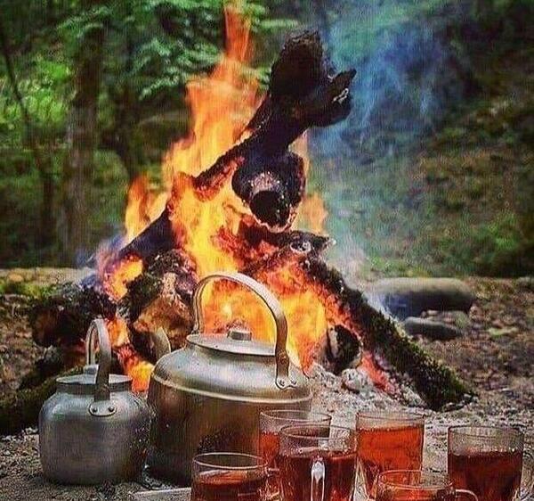 عکس چای در طبیعت برای پروفایل