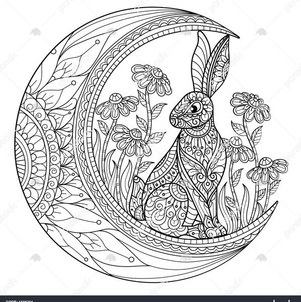 عکس خرگوش طراحی شده