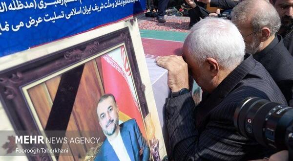 عکسهای خانوادگی ظریف