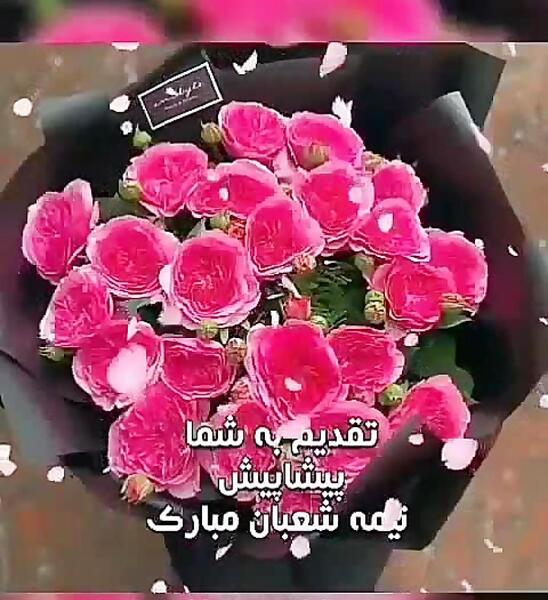 عکس نیمه شعبان پیشاپیش