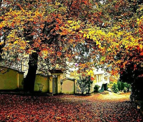 عکس طبیعت لاهیجان
