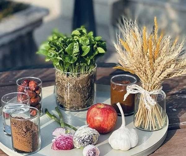 عکس ایده دیزاین هفت سین