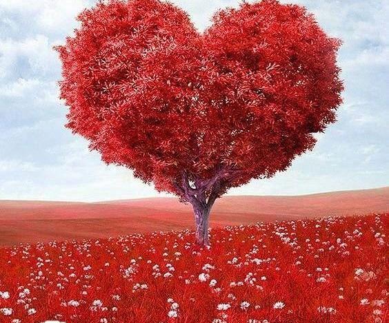 عکس جدید طبیعت