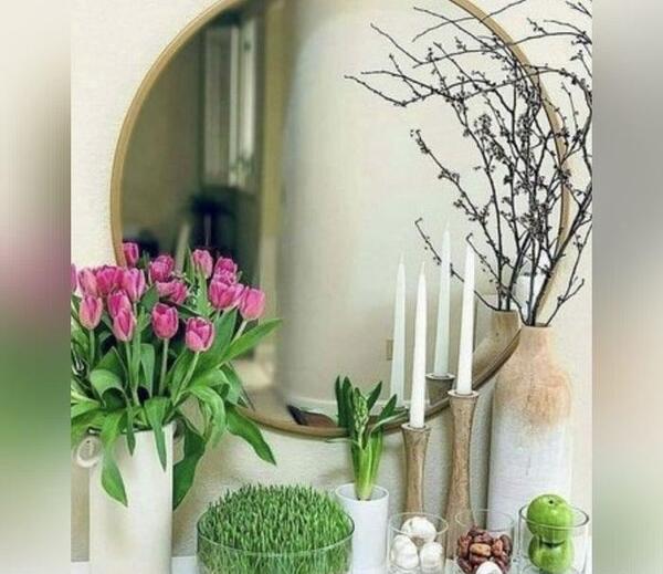 عکس سبزه عید جو