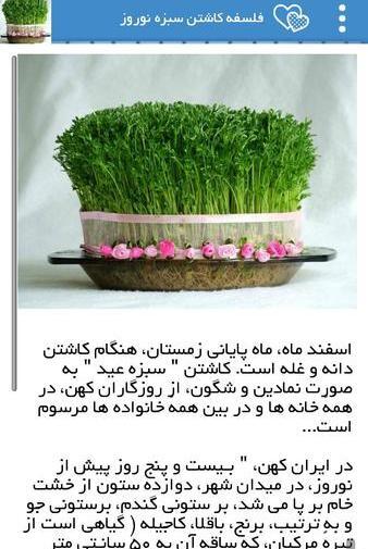 عکس سبزه عید جو