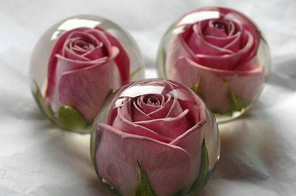 عکس ژله گلی