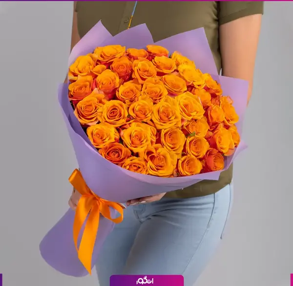 عکس گل رز پرتغالی