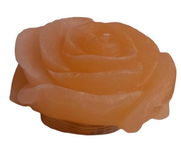 عکس گل رز پرتغالی