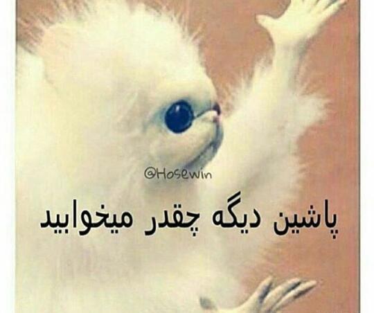 عکس صبح بخیر فان