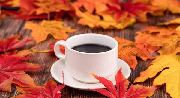 عکس پاییزی با قهوه