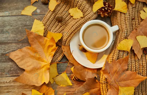 عکس پاییزی با قهوه