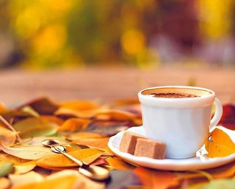 عکس پاییزی با قهوه
