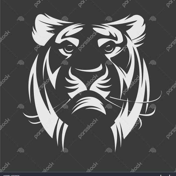 عکس ببر گرافیکی
