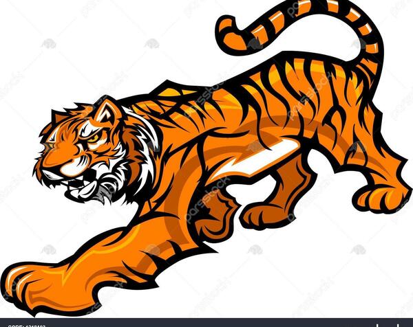 عکس ببر گرافیکی