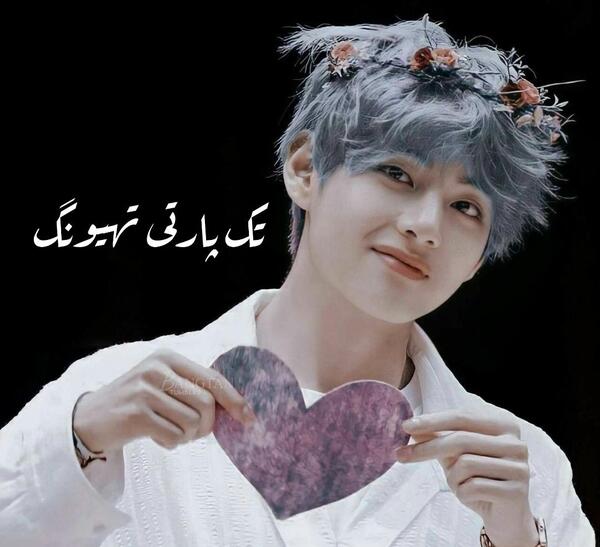 عکس گربه تهیونگ
