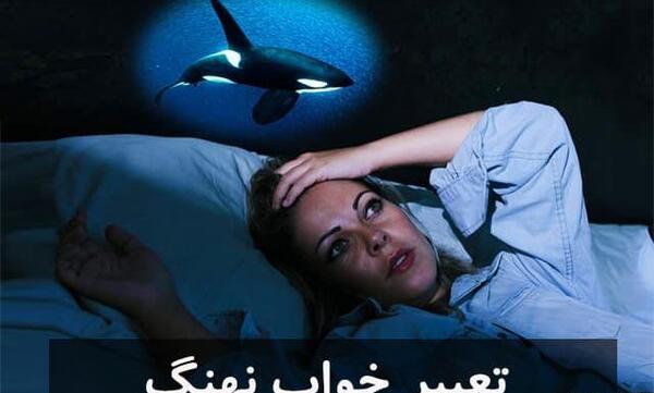 عکس نهنگ سفید