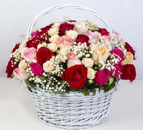 عکس جاده گل