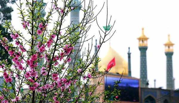 عکس نوشته صلوات حضرت معصومه