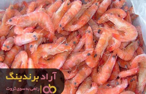 عکس شاه میگو زنده