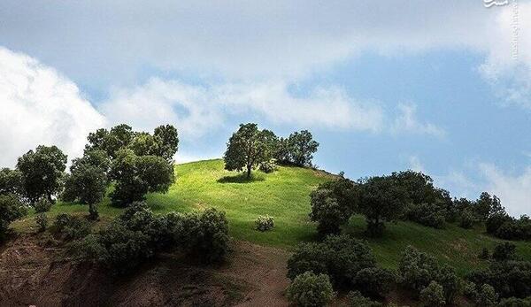 عکس هوایی رشته کوههای زاگرس
