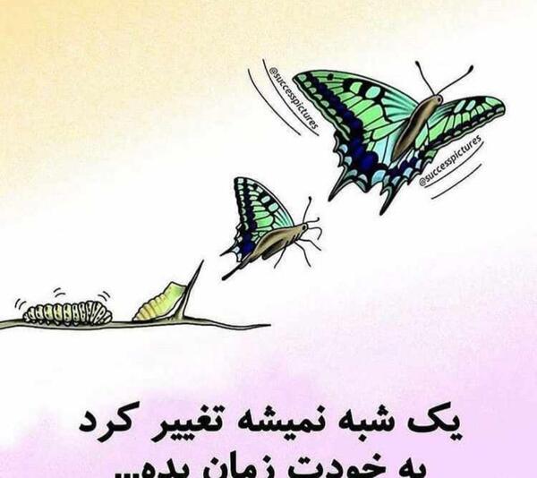عکس تریاک و شیره