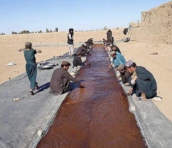 عکس لواشک کارخانه