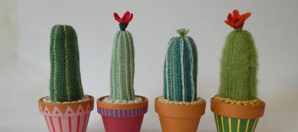 عکس کاکتوس لوله ای