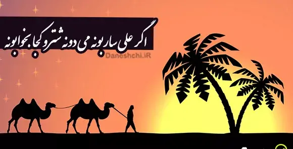 عکس ضرب المثل شتر