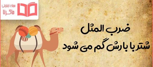 عکس ضرب المثل شتر