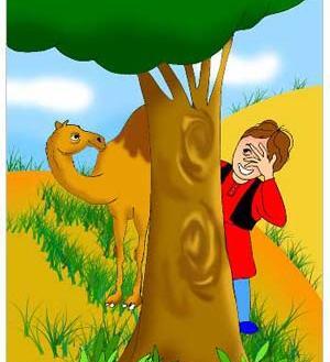 عکس ضرب المثل شتر
