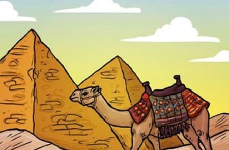 عکس ضرب المثل شتر
