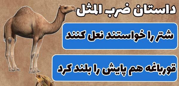 عکس ضرب المثل شتر