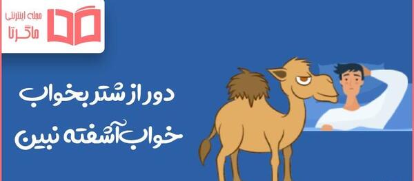 عکس ضرب المثل شتر