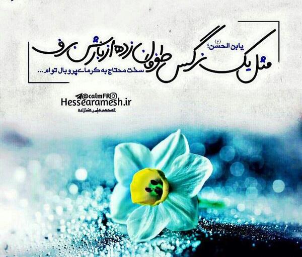 عکس نوشته شده نرگس