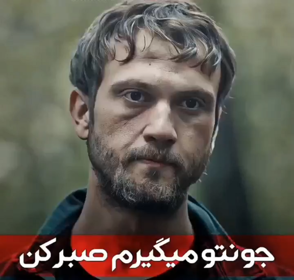 عکس شاخ یاماچ