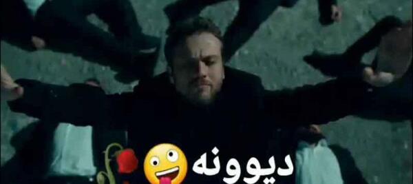 عکس شاخ یاماچ