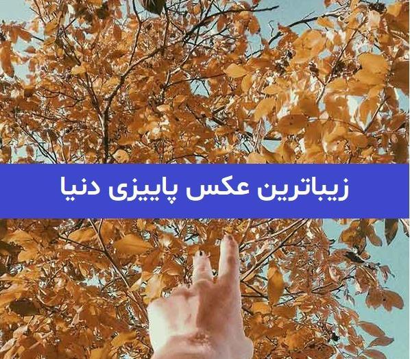 عکس زیباترین پاییز دنیا