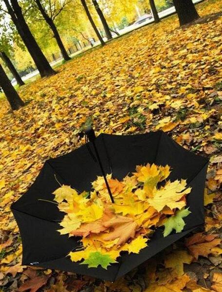 عکس زیباترین پاییز دنیا