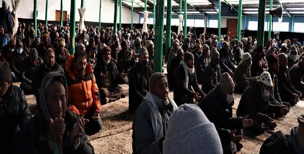 عکس سلیمانی در هند