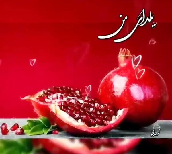 عکس و فیلم یلدایی