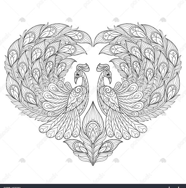 عکس طاووس برای رنگ آمیزی