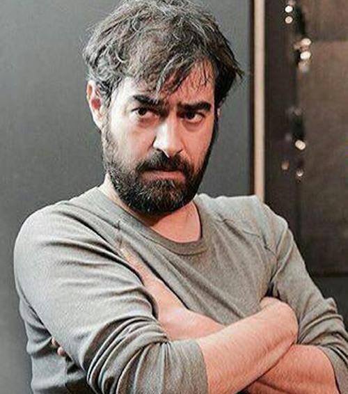 عکس شهاب فرهادی