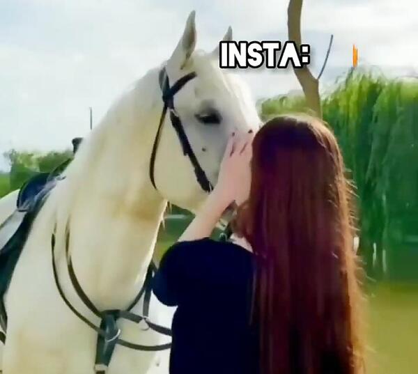 عکس اسب لری