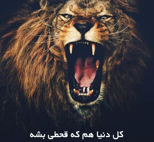 عکس نوشته غرور شیر